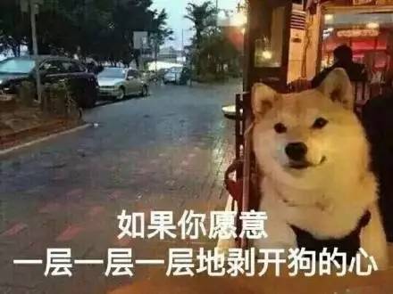 澳门一码一肖一特一中是否合法?跟7777788888管家婆狗,防范误导的温柔刀质疑