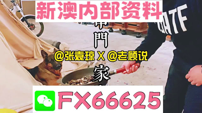 拆穿,新澳门管家婆免费资料查询